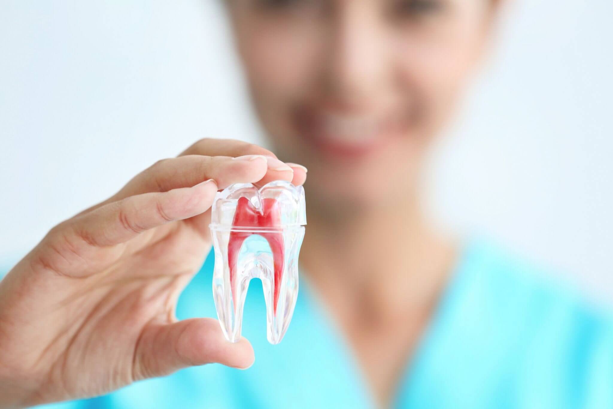 The Pros & Cons Of Root Canal Therapy Explained | Monroe Family Dentistry